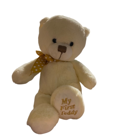 My First Teddy