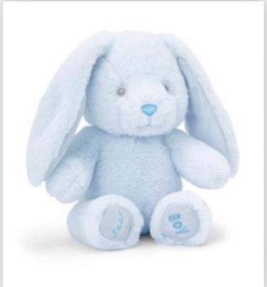 Blue Bunny